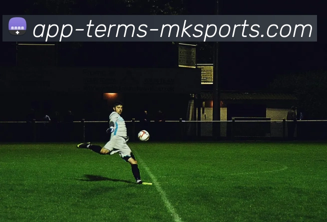 MK体育APPAPP 高清赛事图